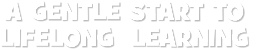 A GENTLE START TO  LIFELONG  LEARNING